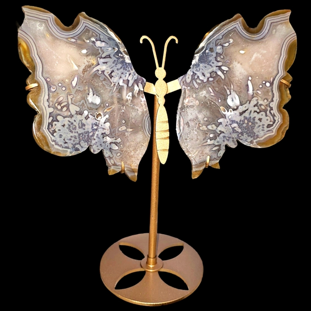 Beautiful Blue flower Agate Wings